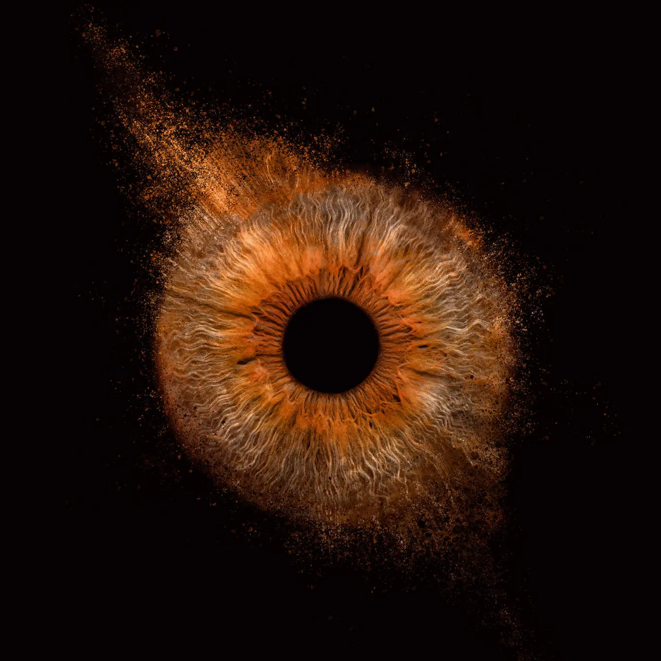 Effet Iris Photo explosion