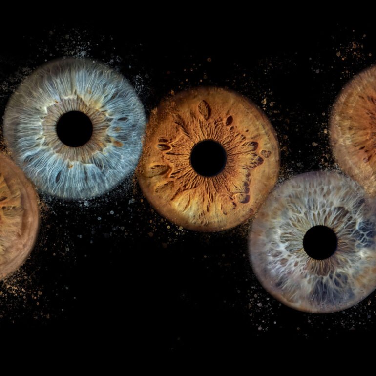 Photo iris bouc bel air 2025