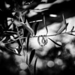 photographe mariage bouc bel air aix en provence 244