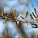 photographe mariage bouc bel air aix en provence 92