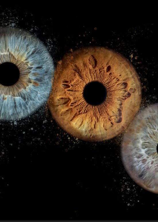 iris photo bouc bel air shooting marc williams studio 2