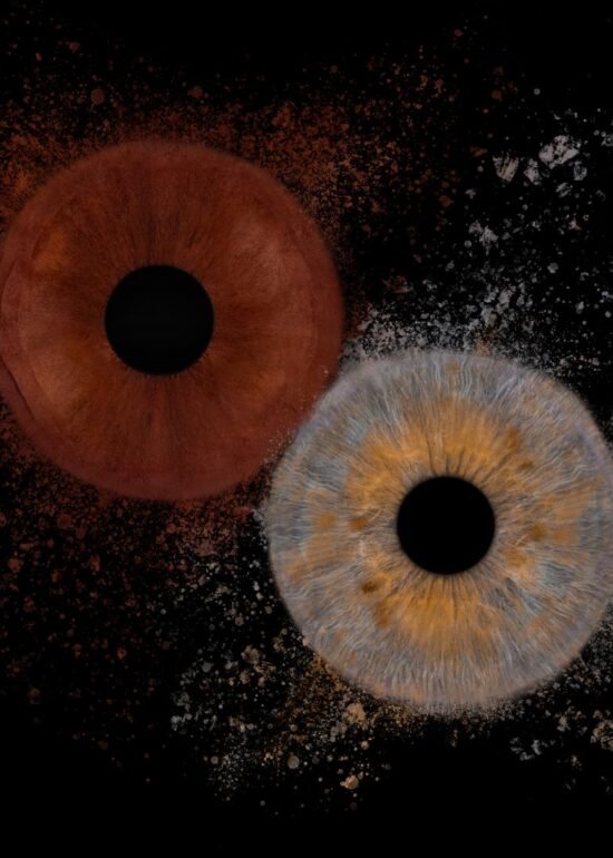 iris photo bouc bel air shooting marc williams studio 3