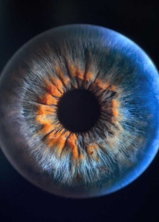 iris photo bouc bel air shooting marc williams studio 4