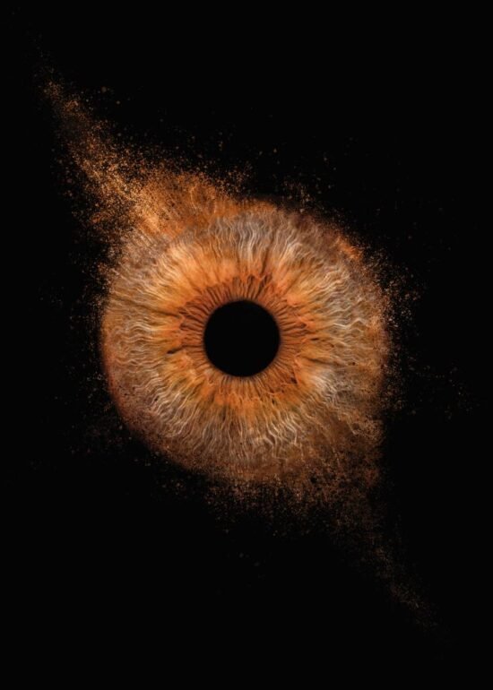 iris photo bouc bel air shooting marc williams studio 5