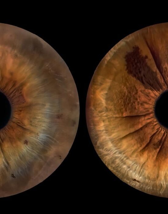 iris photo bouc bel air shooting marc williams studio 6