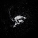 sport natation photo bouc bel air shooting marc williams studio 30
