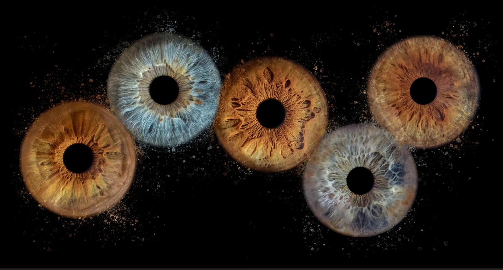 Iris Marc Williams Studio